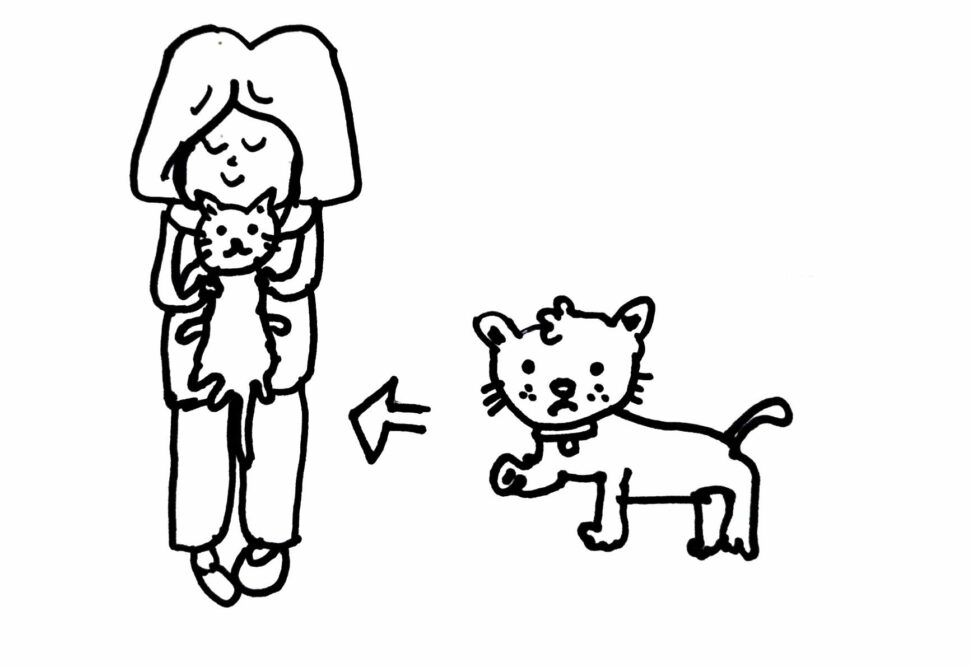 An injured cat, Stick figure girl holding cat